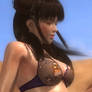 Leifang Dead or Alive 5 Last Round 3943