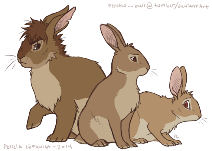 British Bunnies