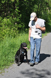 Walking the Erie canal trail