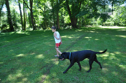 Viscious pit lab terrorizing a kid..lol