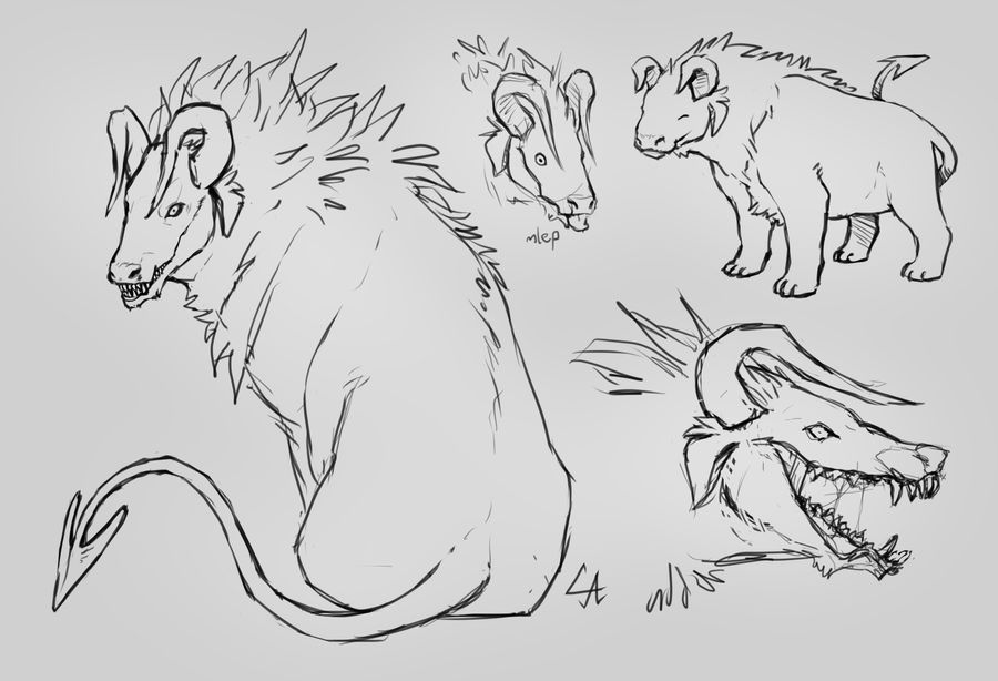Beast Races Drawing beast sketches by canisaries on DeviantArt