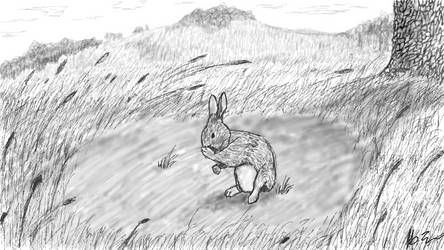 Pondering Hare