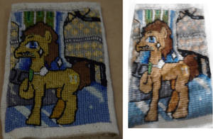 Dr Whooves Needlepoint