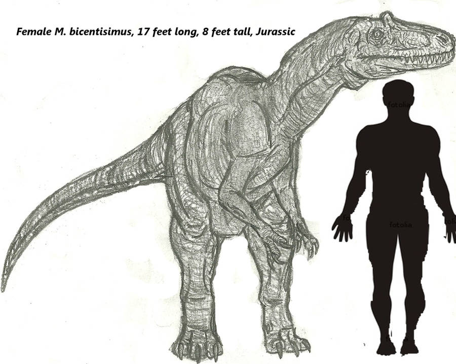 TTFG: Marshosaurus by Eco727