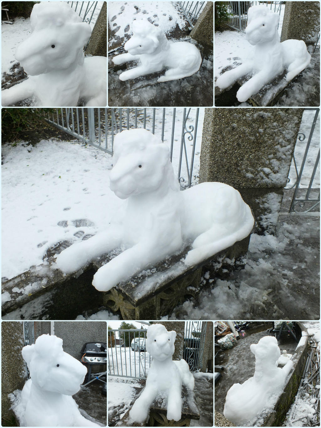 Snow 'Lion'  - Epesii