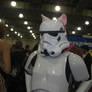 Kitty....Stormtrooper??