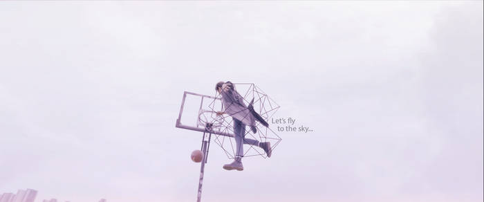 FLY TO THE SKY