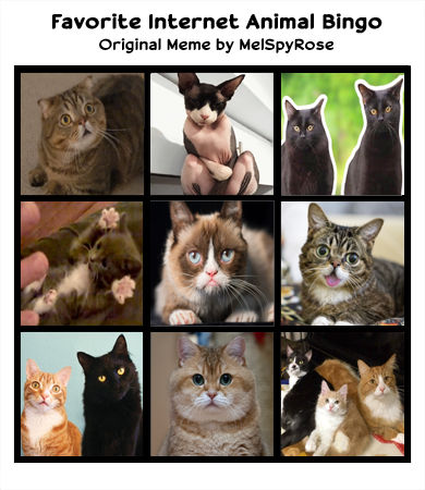 Grumpy Cat Meme About Happiness Challenged by MelSpyRose on DeviantArt
