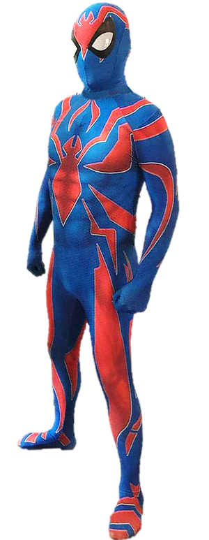 Aracnido Jr PNG