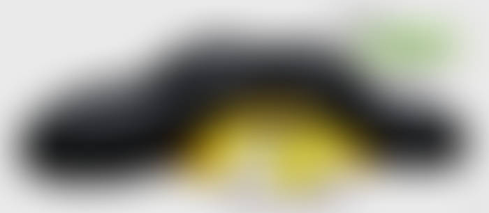 Ellie Phillips (CML 3-15-24)