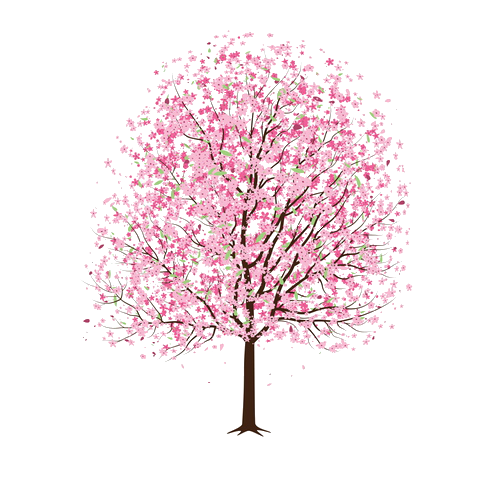 Arbol rosa PNG