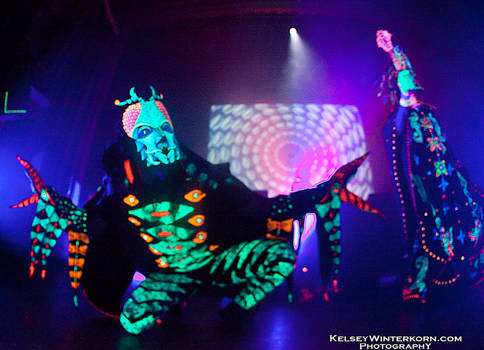 shpongle 16