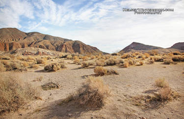 mojave desert 7