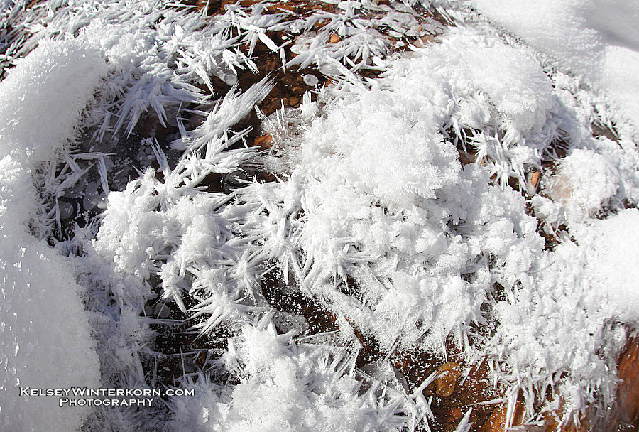 natural bridges UTAH 16