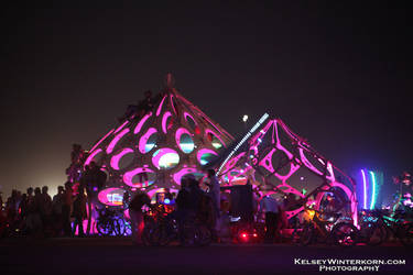 burning man 2012 - 40