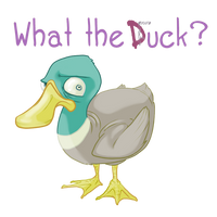 what the duck