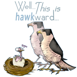 Hawkward moment