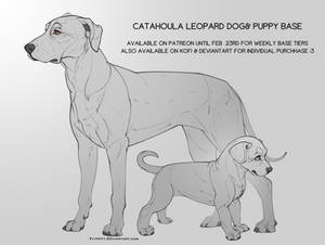 P2U Catahoula Leopard Dog Base Pack