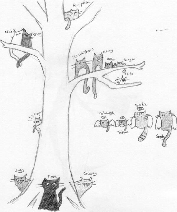 Cat Kin Icon Tree Cat Family Tree by dragonflame61593 on DeviantArt