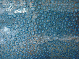 Too Bubbly