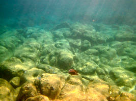 Underwater 1