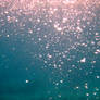 bubbles 1