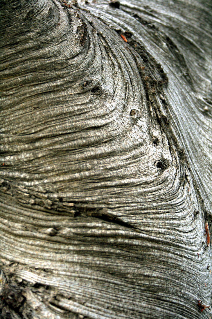 Tree Ripple by Azagorah on DeviantArt