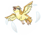 F YEAH PIDGEY - for 60913 by Jaden-Lau