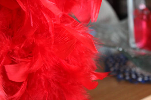 Red feathers