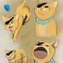 Octonauts doodles 1 (Kwazii)