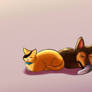 Summer mood (kwazii and Chase)