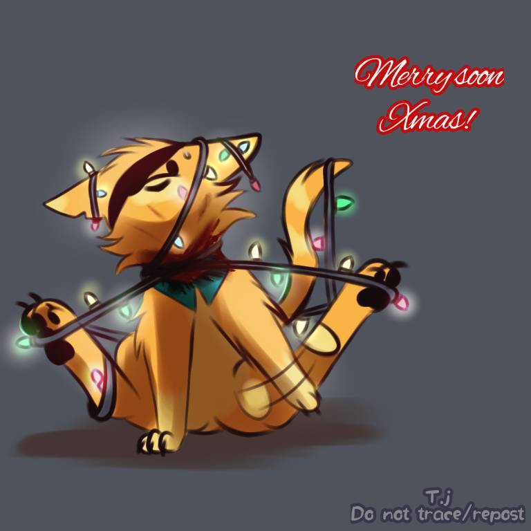 Kwazii the catmas tree