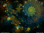 Focal Point by JoelFaber
