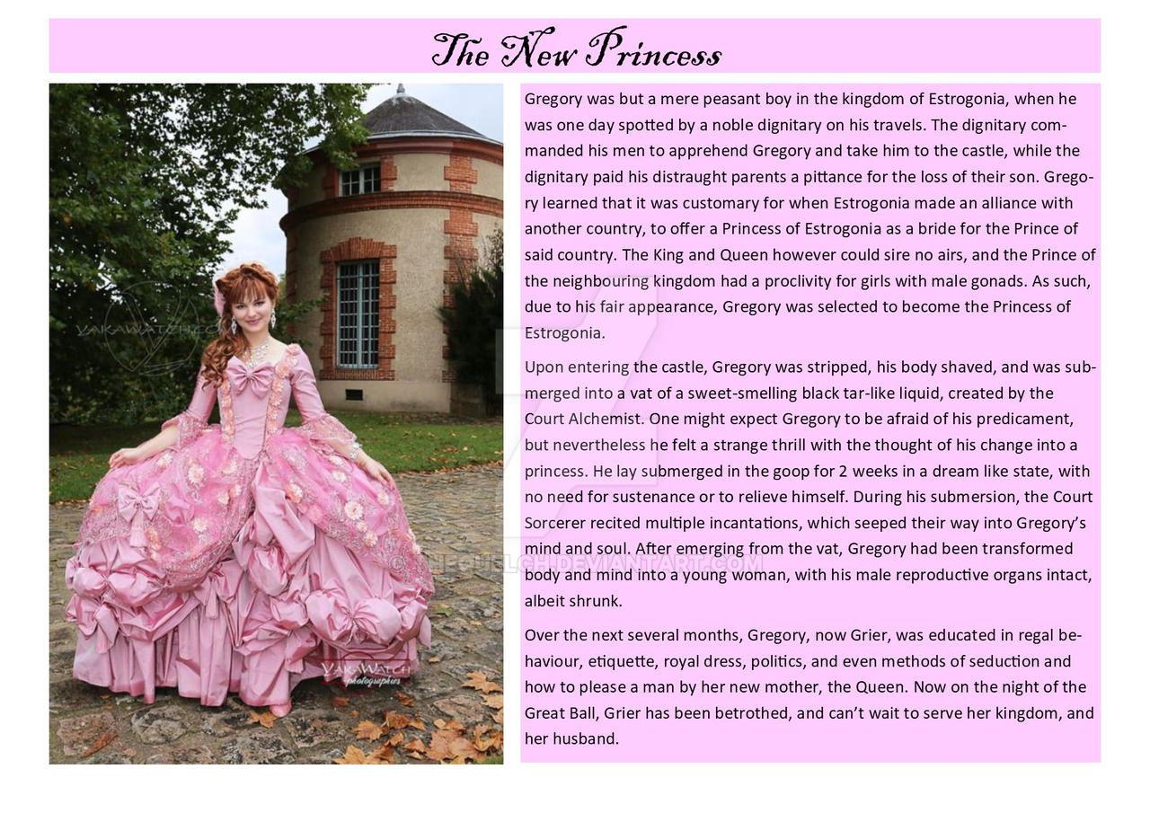 Tg Cap Inner The New Princess - TG Cap Request by TheQuelch on DeviantArt