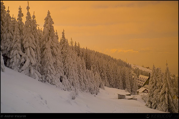 Straja In Orange White ...