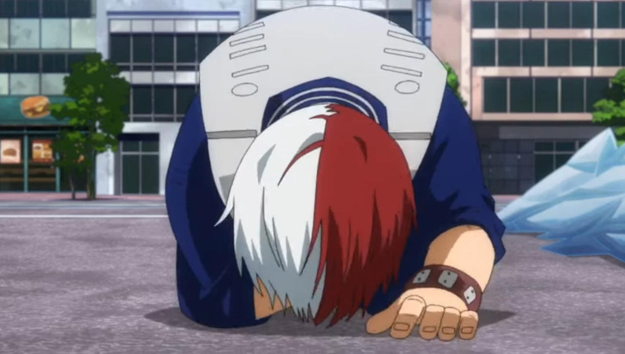 Shoto Todoroki by SamiHedgehogSeriesYT on DeviantArt