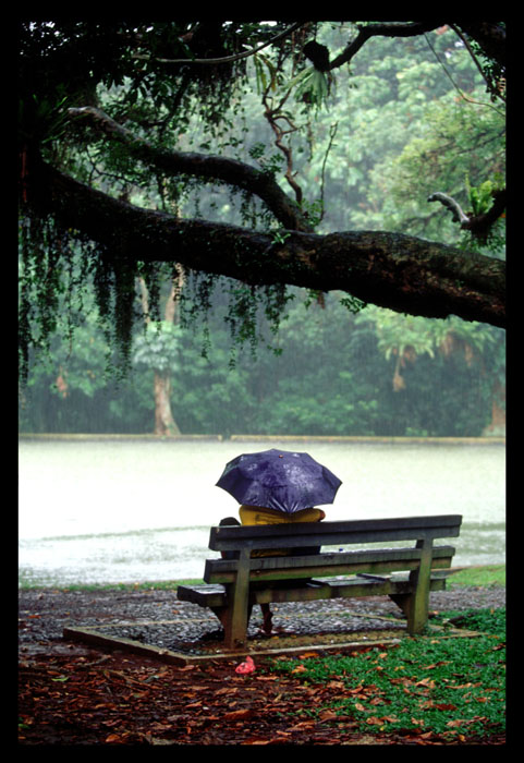 Together Against the Rain