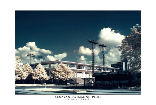 senayan swimming pool