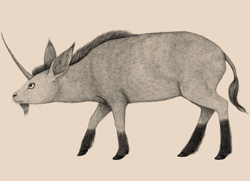 Bestiary- The Pygmy Unicorn by SarHar-Car on DeviantArt