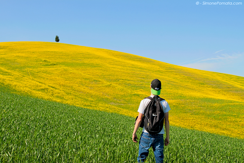 A protrait of Myself