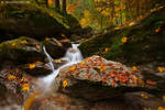 Autumn in Valgoglio by SimonePomata