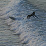 Wipe out, North Yorkshire style at Saltburn