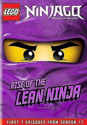 Ninjago 17 hot sale