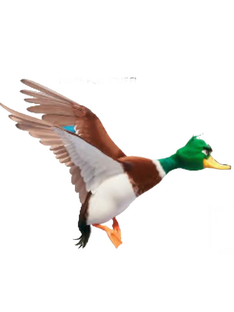 Migration Mack Fly - Render by ForkyandAnyaFan2009 on DeviantArt