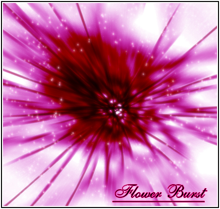 Flower Burst