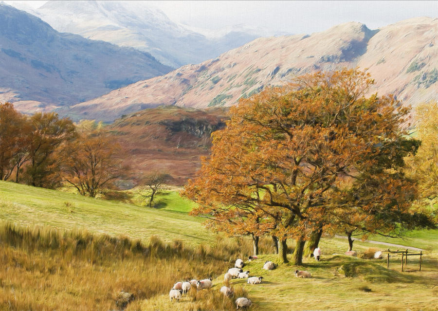 Black Craig by LowBFlat on DeviantArt