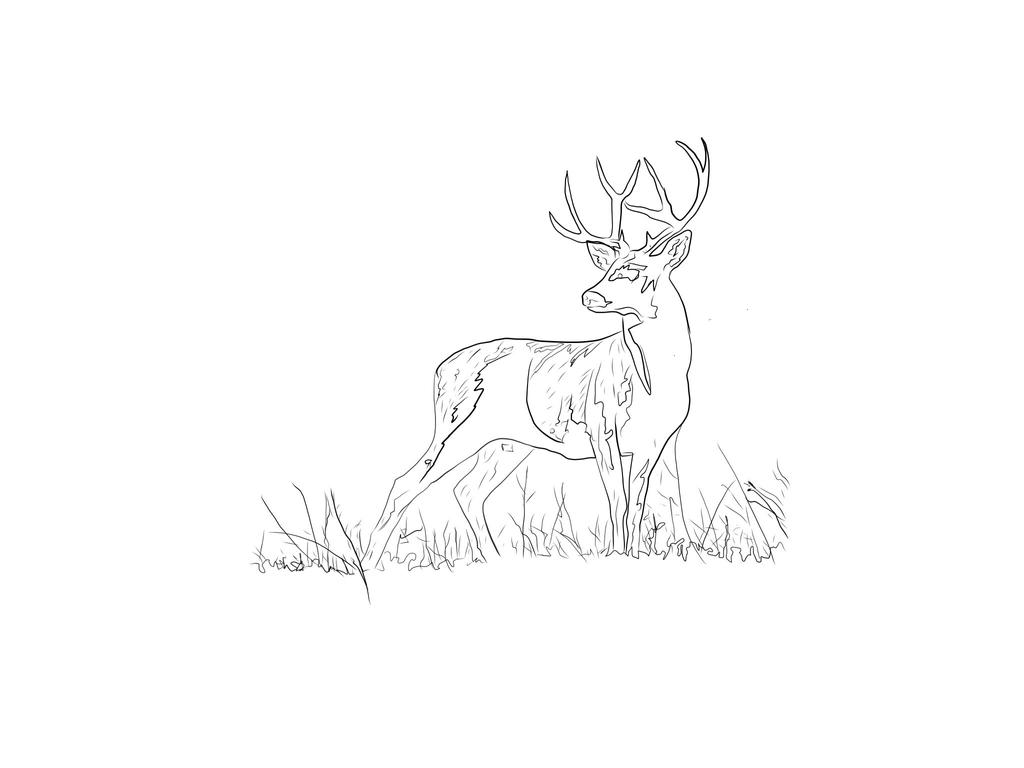 A Stag