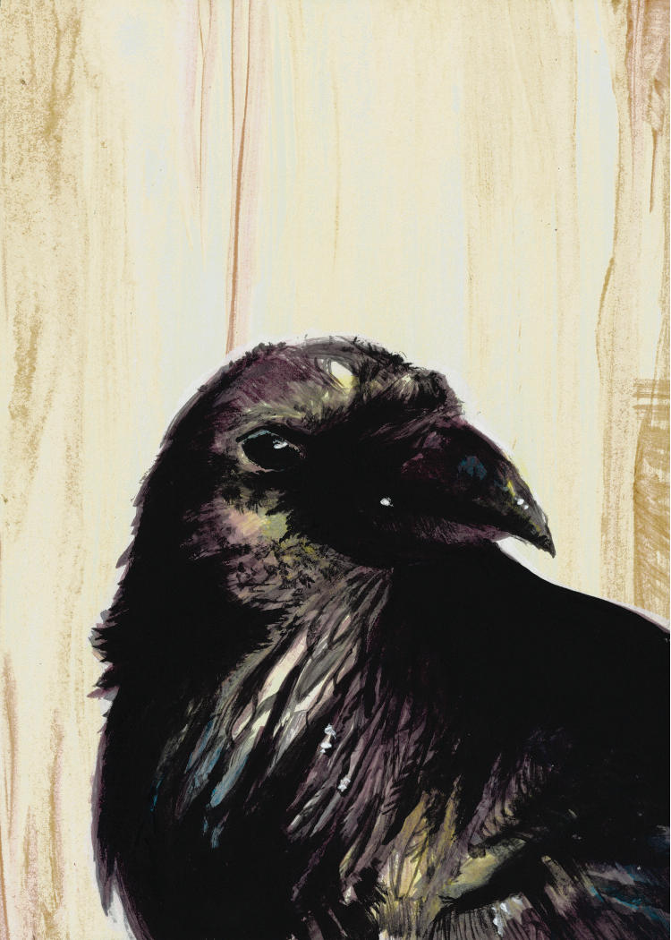 raven series 3 of 3 by grumpygills on DeviantArt