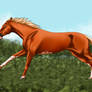 AS Whiskey Bravo - Sold