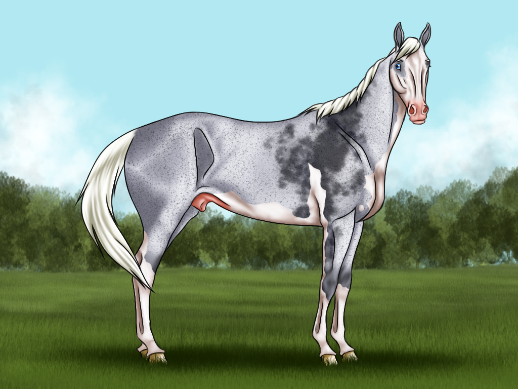 AS Silver Bullet